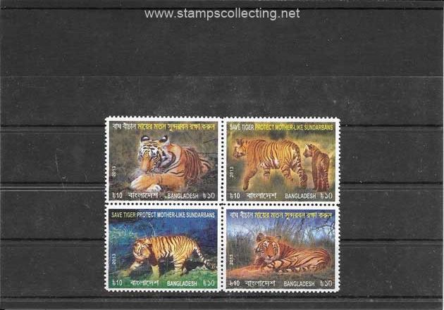 fauna - tigres de Bangladesh