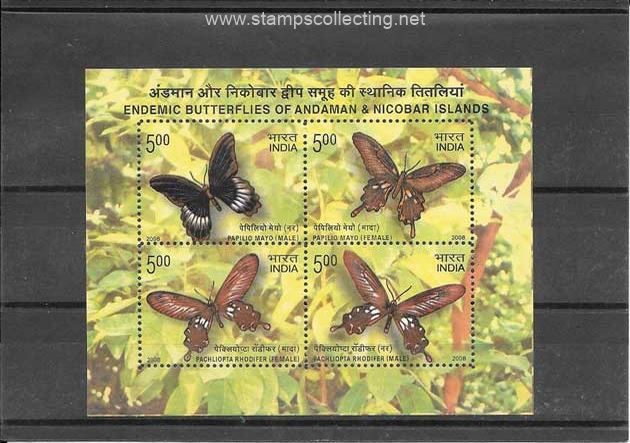 folder fauna - mariposas