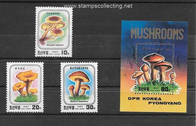 stamps de flora tema hongos.