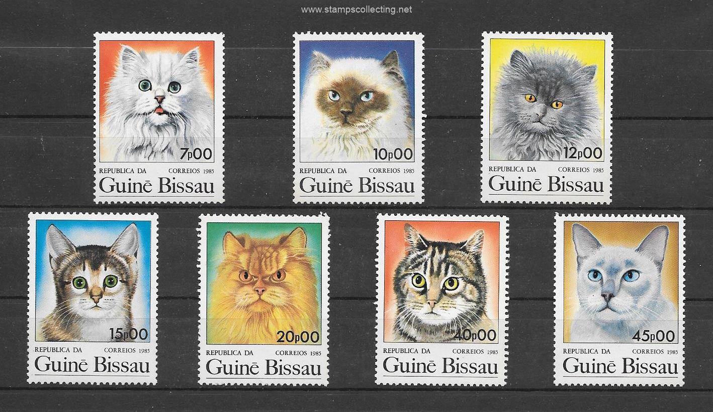 razas de cats de Guinea