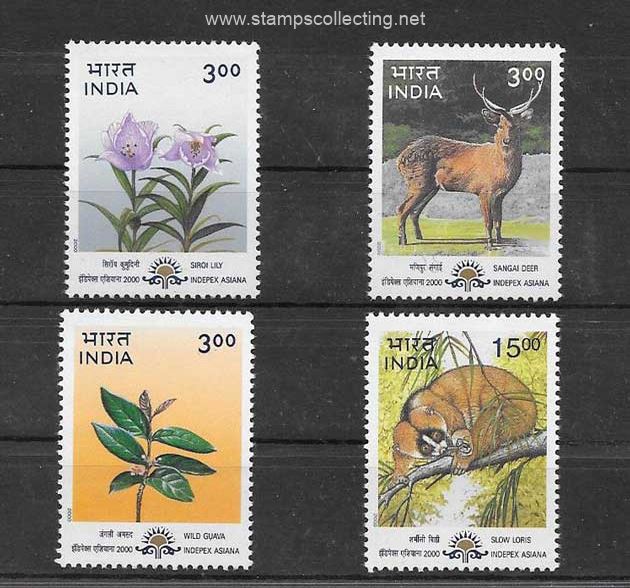 serie  de fauna y flora de la india