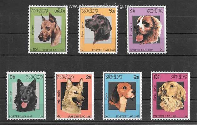 dogs de razas 1987