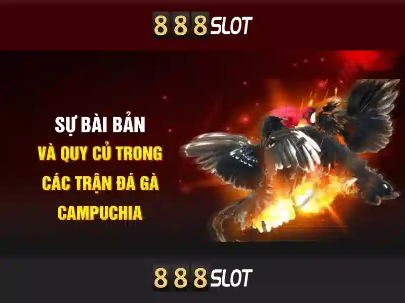 Khám phá 888slot – nền tảng chơi slot trực tuyến