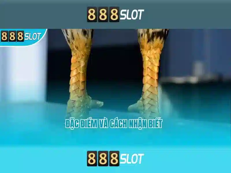 https://stampscollecting.net/images/text/888slot/888slot-text2603301578.webp