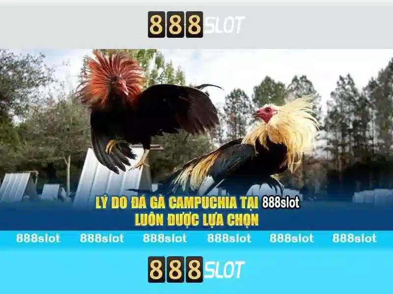 888slot: Trải nghiệm casino trực tuyến an toàn và giải trí