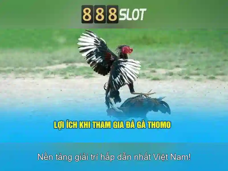 888slot là gì và những điểm nổi bật cho người chơi Việt Nam